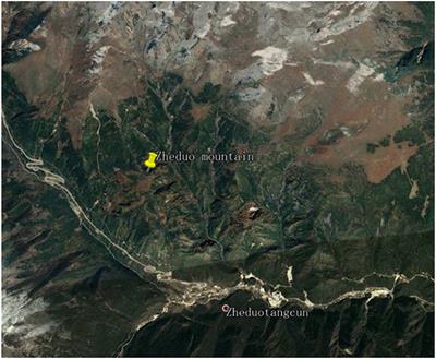 Crack Failure Characteristics of Different Rocks Under the Action of Frost Heaving of Fissure Water